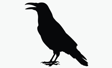 Crow silhouette bird, Vector, isolated black silhouette bird, crow collection 