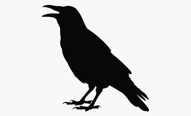 Crow silhouette bird, Vector, isolated black silhouette bird, crow collection 