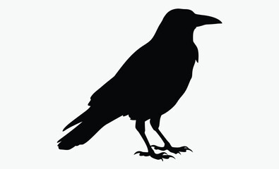 Crow silhouette bird, Vector, isolated black silhouette bird, crow collection 