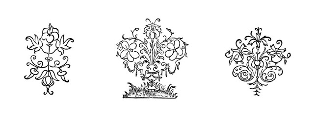 Vintage flourish ornament illustration art