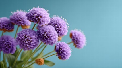 Vibrant Purple Flowers Close Up Nature Floral Photography Soft Background Intimate View Beauty in Detail