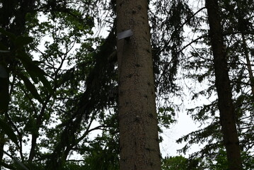 Fototapeta premium Solar Überwachungskamera in der Natur