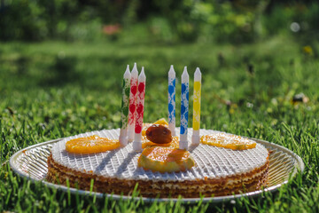 Birthday waffle cake with candles on the green grass background.