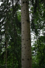 Fototapeta premium Technologieeinsatz in der Natur