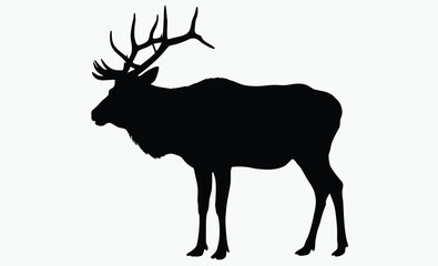 Elk silhouette, antler animal, forest wildlife, A vector silhouette of a large bull elk bugling