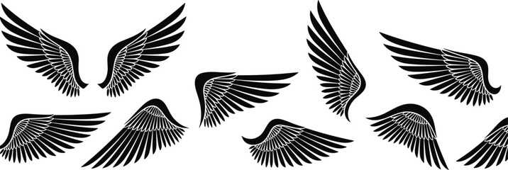 Cad drawing flat vector illustration of bird wings icon set, feathered styles, flight symbols, black graphic elements, decorative shapes