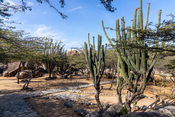 The garden surrounding the Ayo and Casibari rock formations, huge tonalite boulders, believed to have been formed by volcanic activity millions of years ago.