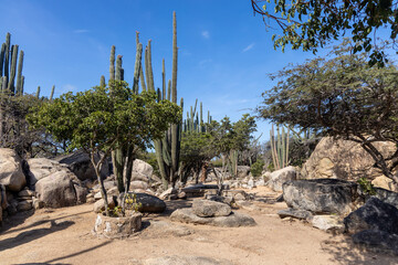 The garden surrounding the Ayo and Casibari rock formations, huge tonalite boulders, believed to have been formed by volcanic activity millions of years ago.