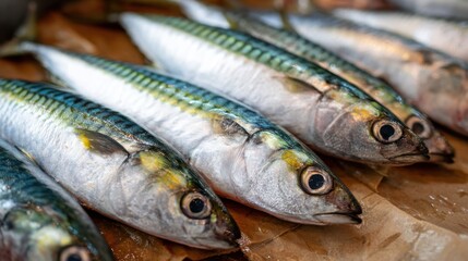 Fototapeta premium Rows of freshly caught fish lie on a brown surface, glistening under the morning light. Their intricate patterns highlight the freshness and quality, enticing market visitors.