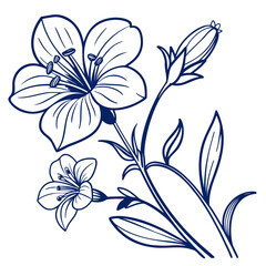 black and white anagallis wildcat  blue