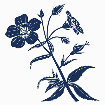 anagallis wildcat  blue with leaves