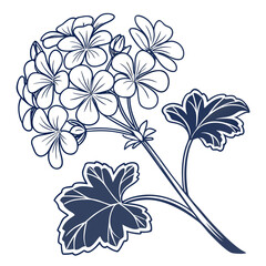 vector illustration of ageratum blue danube