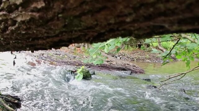 Atmospheric creek reveal floating through idyllic wilderness and untouched forest shows natural environmental conservation and freshwater habitat. Calm flowing creek with rapids and clear water idyll.