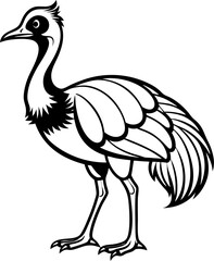 Obraz premium Cassowary bird line art vector , black and white , white background 