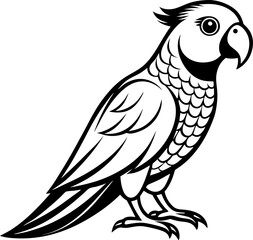 Lorikeet bird line art vector , black and white , white background 