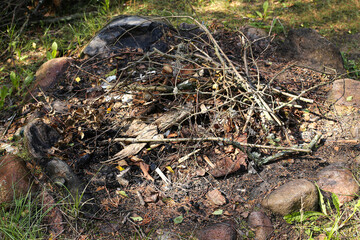 Extinguished campfire remains. Burned fire pit with ashes and twigs. Outdoor camping area after use. Charred ground and stone ring. Natural forest background. End of campfire night in the wild.