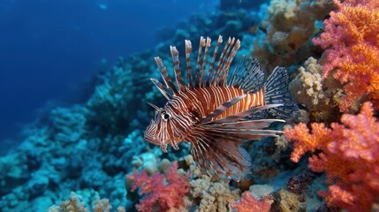 A striking lionfish glides through a lively coral reef filled with bright colors. Sunlight filters down through the water, illuminating the underwater scene.