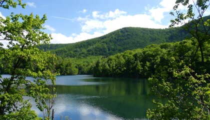 Scenic mountain lake surrounded by lush greenery