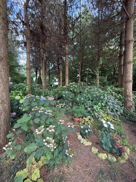 Le Jardin de Mireille en Touraine Angevine, Channay-sur-Lathan, France