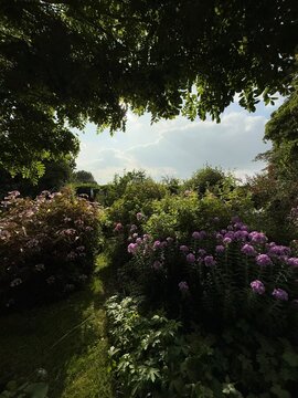 Le Jardin de Mireille en Touraine Angevine, Channay-sur-Lathan, France