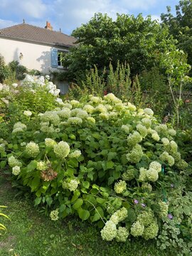 Le Jardin de Mireille en Touraine Angevine, Channay-sur-Lathan, France