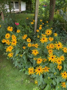 Le Jardin de Mireille en Touraine Angevine, Channay-sur-Lathan, France
