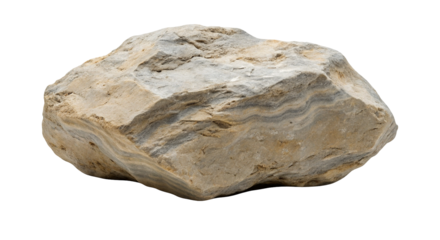 Large sedimentary rock specimen captured against a solid black background for analysis display