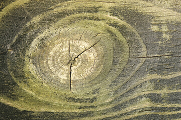 Weathered wooden surface detail. Old cracked wood with visible grain and circular knot. Natural...