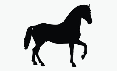 Rearing horse silhouette, wild stallion, black animal, black horse silhouette