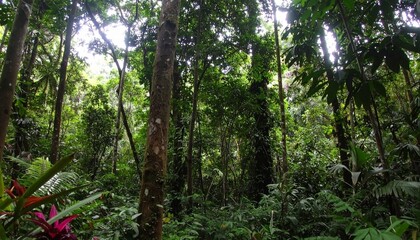 Dense tropical rainforest with tall trees, lush green foliage, and vibrant plant life creating a vibrant and immersive natural scene.