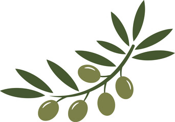 Olive branch with green olives vector illustration © Safwan Creatives