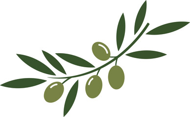 Olive branch with green olives vector illustration