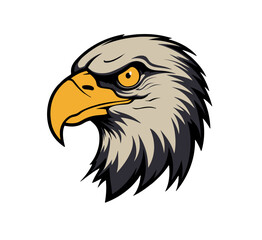 Fierce bald eagle head profile with intense yellow eye and sharp beak
