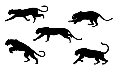 Dynamic black panther vector silhouette with elegant movement and strength. Wildlife beast in action — running, climbing, hunting with grace and power. Majestic feline in jungle