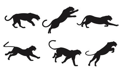 Elegant black panther silhouette in dynamic poses, showcasing strength, grace, and movement. Vector illustration of wildlife predator stalking, running, hunting, and majestic feline power