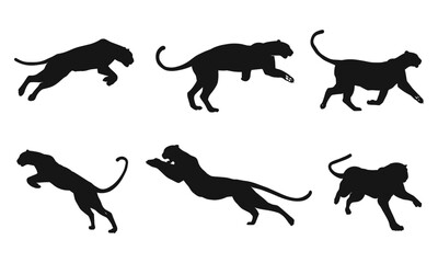 Majestic black panther vector silhouette showing power, grace, and agility. Wildlife beast in motion, running, hunting, climbing, stalking. Elegant dynamic pose of muscular feline predator