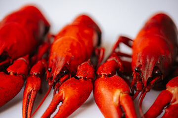 Multiple bright red boiled crawfish lined up diagonally on a white background, with copy space on the left.