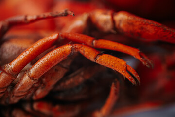 A close-up macro image of the underside of a cooked lobster, highlighting its segmented legs and texture, placed on a white background with a text area.