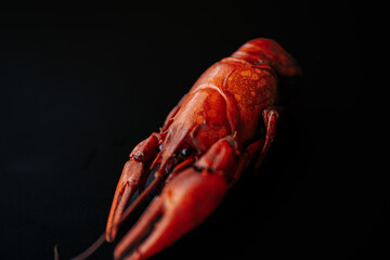 A detailed close-up of a bright red cooked lobster, highlighting its claws and textured shell against a black background.
