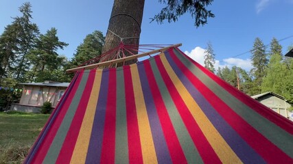 The red-yellow striped hammock tied between pines at the dacha rocks gently. It's bathed in sunset light.