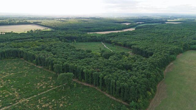 Aerial video of a small forest in Hungary near Sarvar city. Trees and green scenery can be seen from above