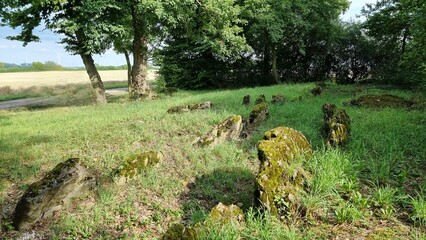 gallery tomb of Etteln