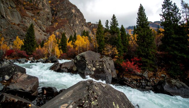 Autumnal mountain stream cascading over rocks