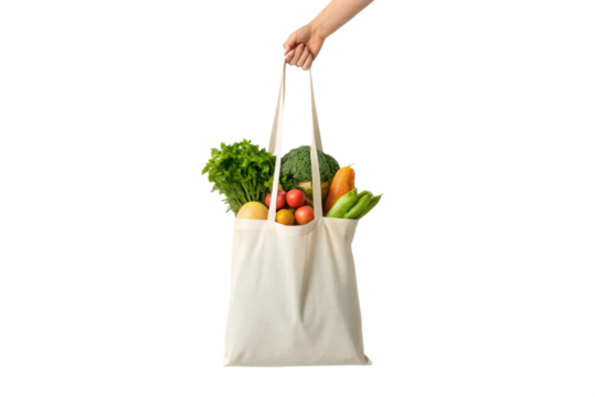 3D Illustration of Hand Holding Grocery Bag - Isolated on White Background - Powered by Adobe