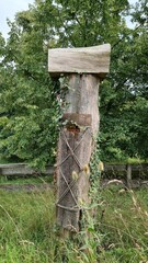 old wooden semi-wild bee colonies
