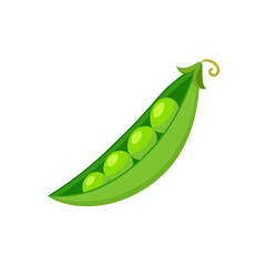 Green pea pod with seeds isolated on transparent background