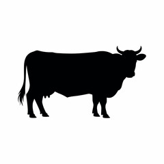 Silhouette of a Dairy Cow Standing Calmly in a Pasture, a Symbol of Agriculture and Rural Life, Black on White