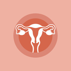 Obraz premium Uterus Anatomy Illustration: Female Reproductive System Diagram with Fallopian Tubes and Ovaries in Detailed Vector