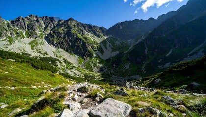 Mountain valley vista