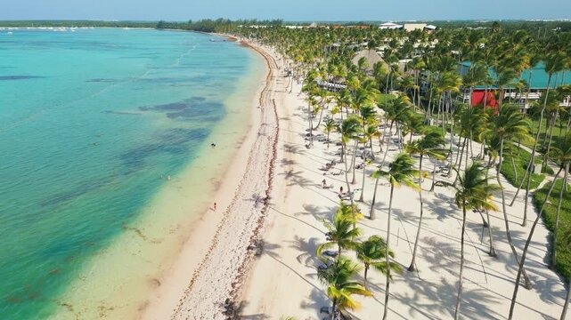 Beachfront Paradise with turquoise water and Palms in Punta Cana - Aerial View